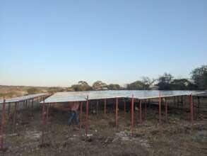 The solar array in Terat