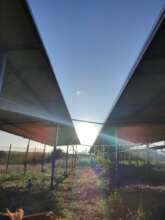 The dairy solar system in Terat