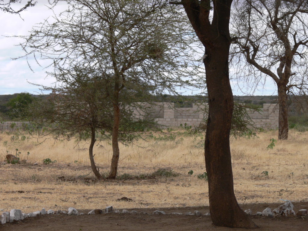 Transform healthcare for >10000 Tanzanians