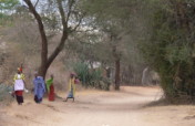 Transform healthcare for >10000 Tanzanians