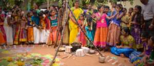 Pongal festival