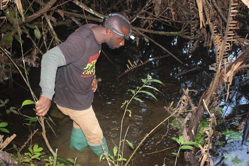 SAVE THE FROGS! Ghana