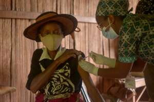 Vaccinations taking place in the Manombo Forest