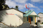 Establishing Sea Turtle Rehabilitation Center