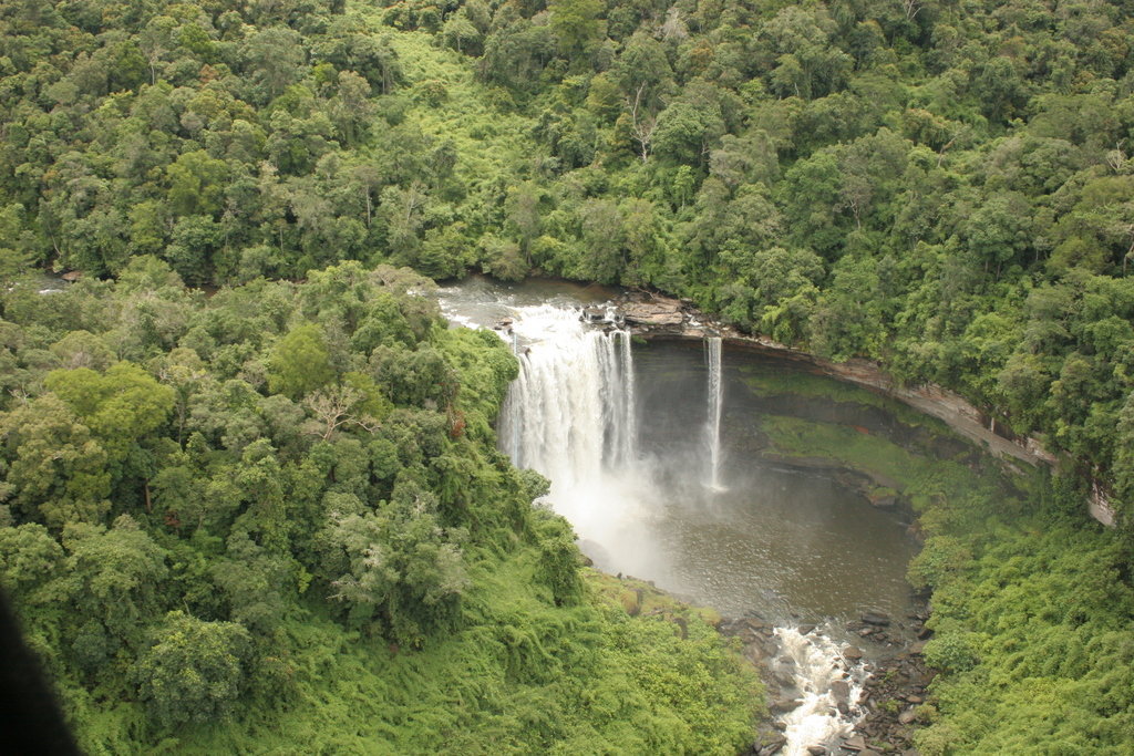 Empower Rural Communities and Help Protect Forests