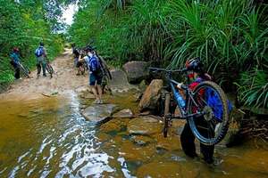 Mountain Biking Trek