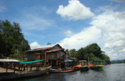 Empower Rural Communities and Help Protect Forests