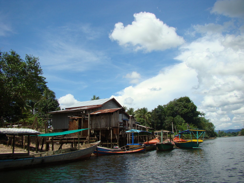 Empower Rural Communities and Help Protect Forests