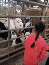 Amal at the farm at a Rainbow Trust sibling day