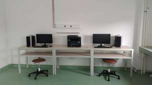 data base covid 19