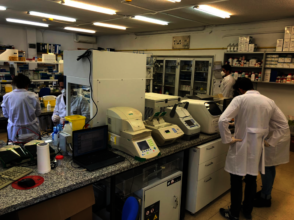 PCR lab to diagnose COVID-19 in elderly people