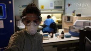 Volunteer researchers at work