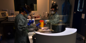 Swab samples are carefully managed and tested