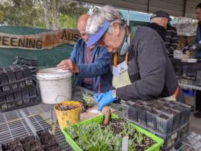 Bushfire-Recovery-Nursery-seedling-planting