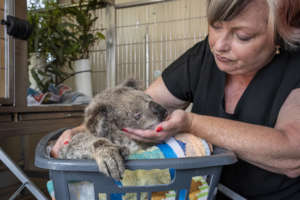 Wildlife-Heroes-photo-courtesy-Doug-Gimesy