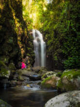 image courtesy of Tourism and Events Queensland