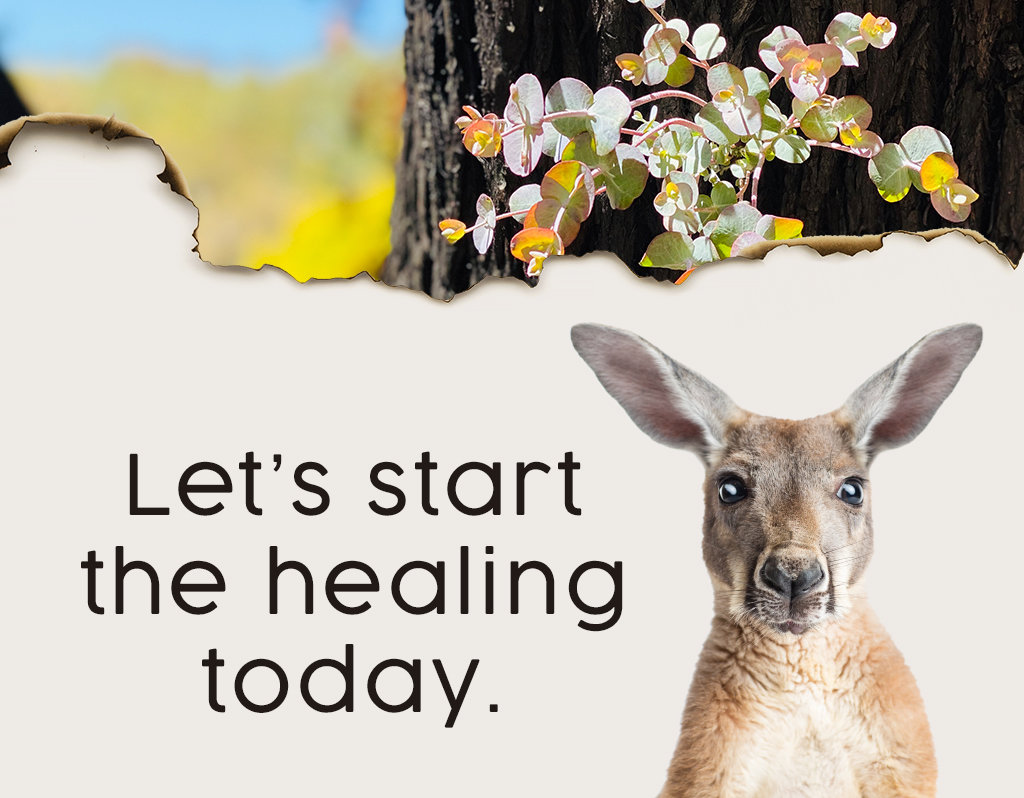Healing our land - Bushfire Recovery