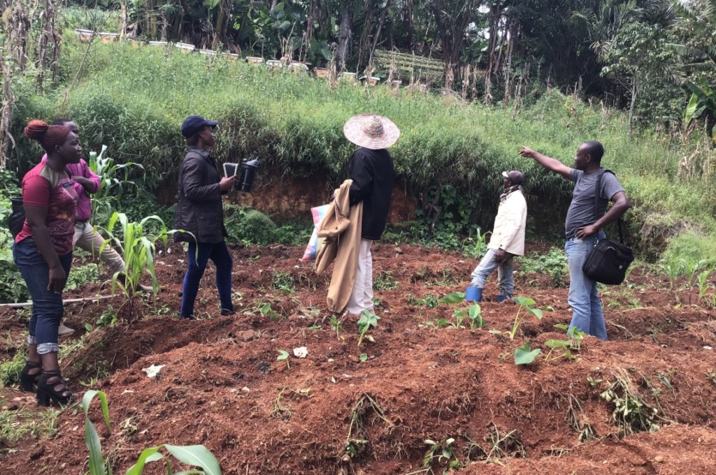 Support Community Green Engagement in Cameroon