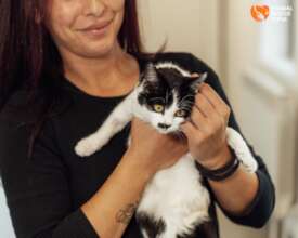 Matz-Matz in her home
