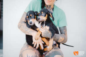 Coco and Marty After Treatment