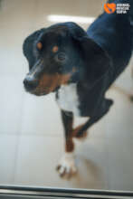 Amira Before the Operation