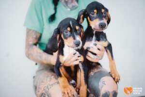 Coco and Marty Before Treatment