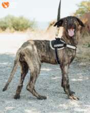 Cathrin Several Days After