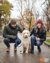 Gandalf Adopted