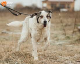 Lidia on a Walk