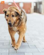 Martsipana at Arrival