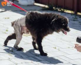 Miguel After the Operation