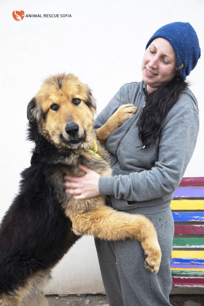 Franzisca Vet Clinic - Help us Help Them