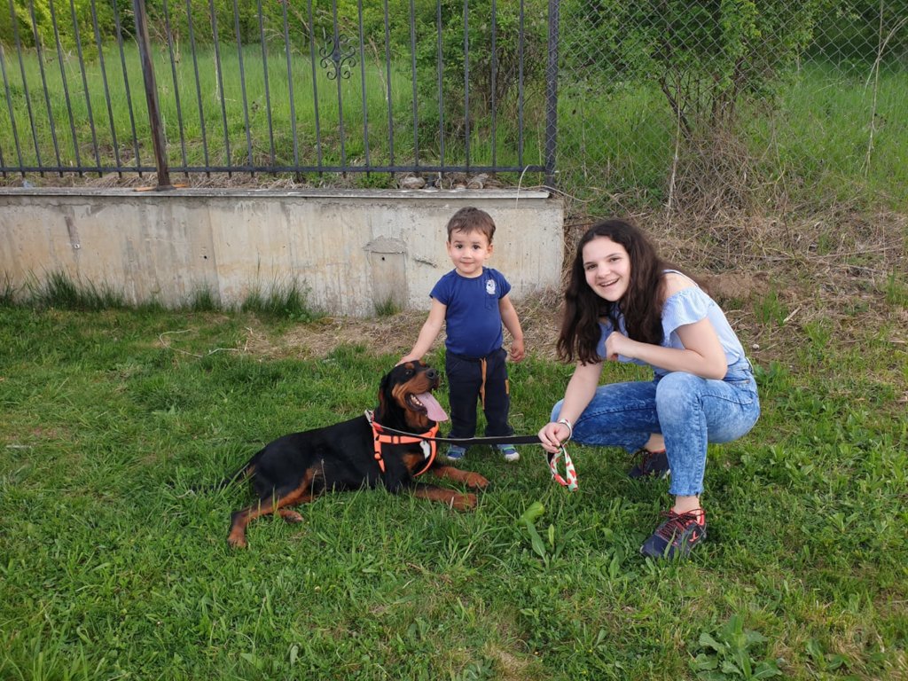 Franzisca Vet Clinic - Help us Help Them