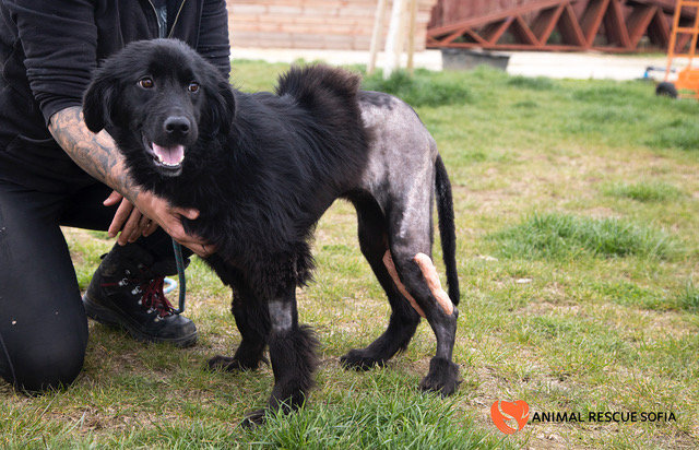 Franzisca Vet Clinic - Help us Help Them