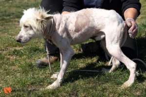 Yassen Before