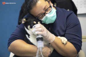 A dog carer and a patient