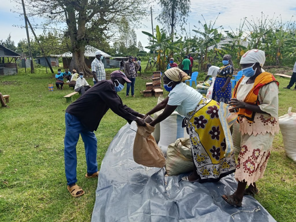Coronavirus Relief Fund for Orphans in Kenya.