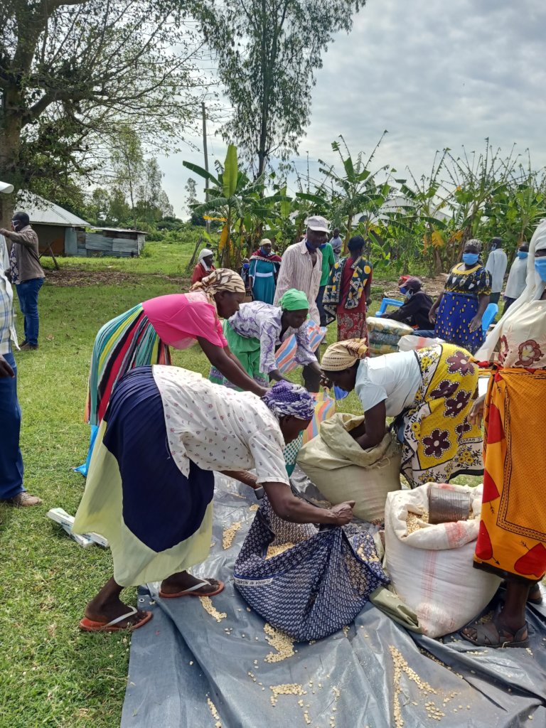 Coronavirus Relief Fund for Orphans in Kenya.