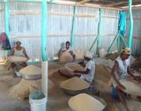 preparing for market
