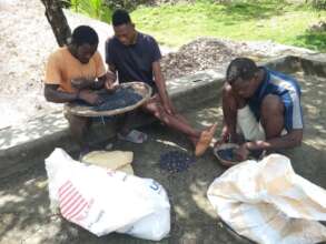 Bean Sorting