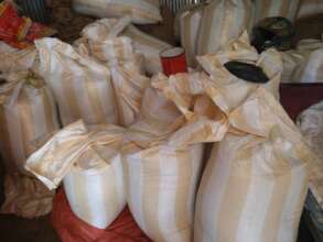Beans Packaged for Storage