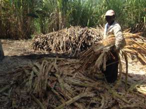 "Bagas" using cane by product for fuel