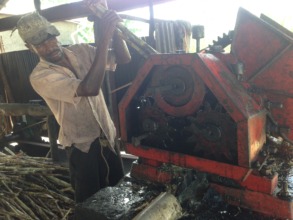 Daily work of processing sugar cane