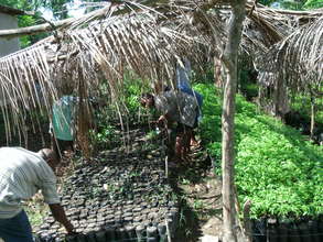 Learning to plant seedlings for reforestation