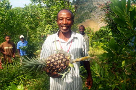 Help Families Grow their Own Food in Rural Haiti
