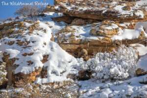 Cliff Dwelling