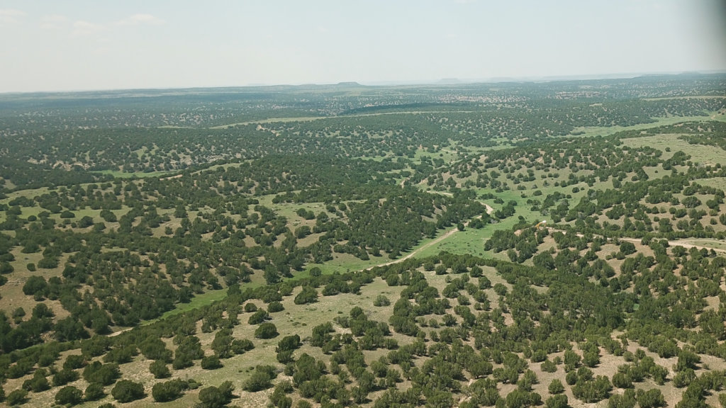 Build Habitats for Rescued Lions, Tigers, & Bears