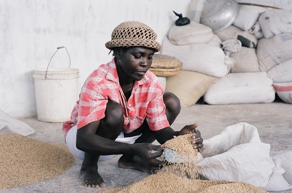 Help Families in Haiti Get Back to Work