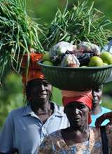 Off to the Market