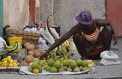 Help Families in Haiti Get Back to Work